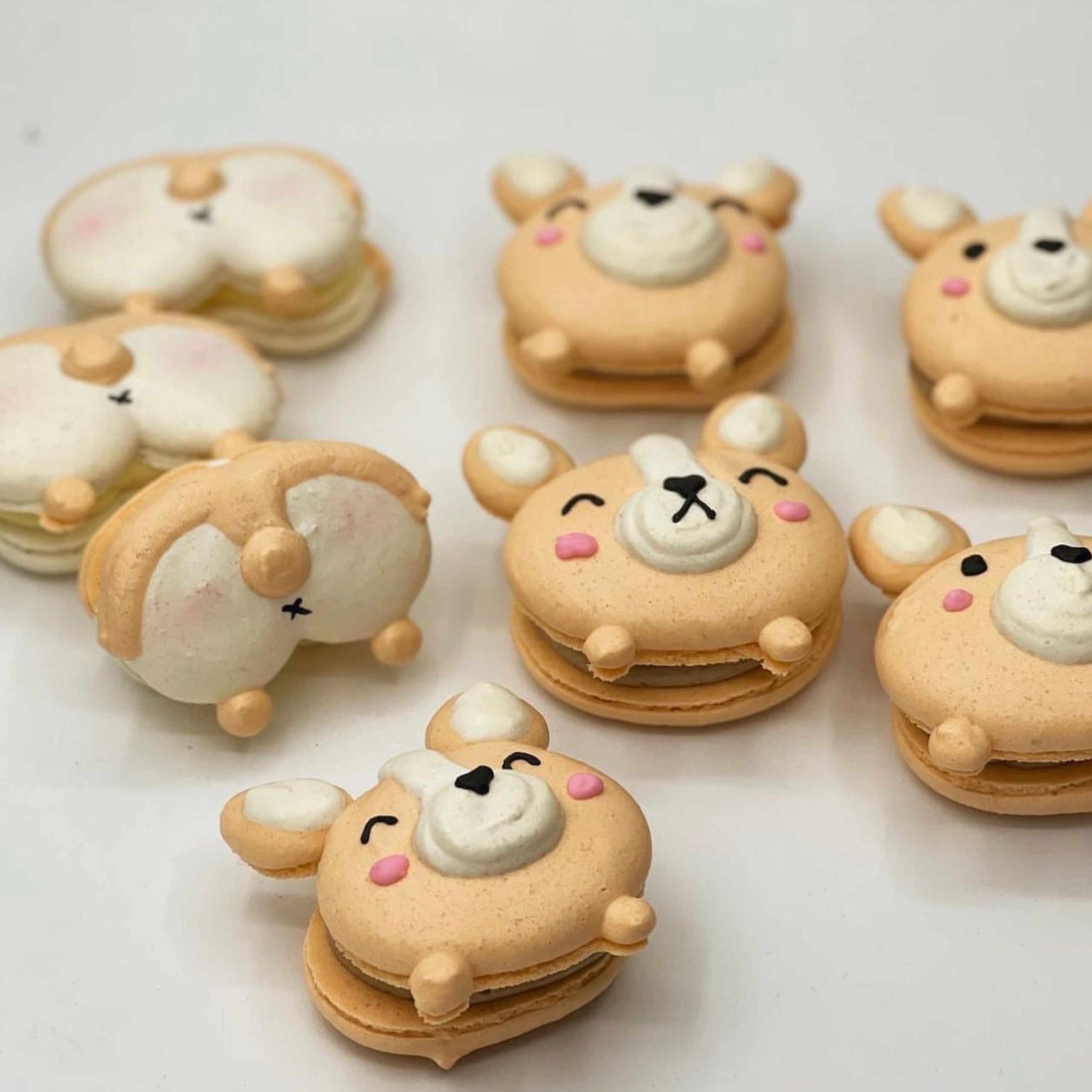 Small Corgi Macaron Gift Box Dreami Cake